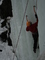 Norge ledo kriokliai 20080310 Julius 43 Syrex Jonava