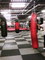 Gladiators bokso klube,NJ Darius 52 dar32 